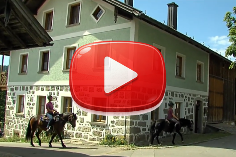 Filmproduktion Videoproduktion Regensburg Bayerischer Wald Bayerwald-fernsehen regiofilm #Filmproduktion #Videoproduktion #Regensburg #Bayerischer Wald #Bayerwald-fernsehen.de #regiofilm