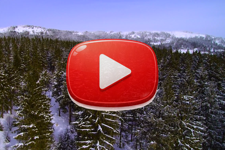 Filmproduktion Videoproduktion Regensburg  Bayerischer Wald Bayerwald-fernsehen regiofilm Gastgeber Filme videos Lamer Winkel sommer 